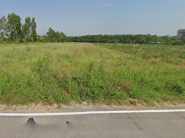  Land for sale in Khanong Phra, Pak Chong, Khanong Phra