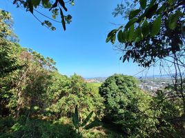  Land for sale in Phuket, Wichit, Phuket Town, Phuket