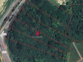  Land for sale in Prachuap Khiri Khan, Wang Phong, Pran Buri, Prachuap Khiri Khan