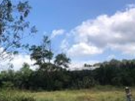  Land for sale in Surat Thani, Makham Tia, Mueang Surat Thani, Surat Thani