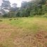  Land for sale in Atlantida, La Ceiba, Atlantida