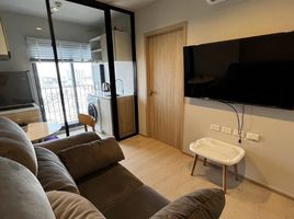 1 Schlafzimmer Appartement zu vermieten im Nue Noble Ngamwongwan, Bang Khen, Mueang Nonthaburi, Nonthaburi