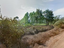  Land for sale in Kabin Buri, Prachin Buri, Wang Takhian, Kabin Buri