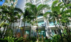 Фото 2 of the Communal Pool at Sunset Boulevard 1