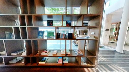 3D-гид of the Library / Reading Room at Ficus Lane