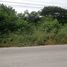  Land for sale in Chiang Khan, Loei, Pak Tom, Chiang Khan