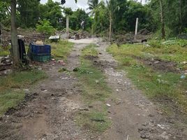  Land for sale in Khu Fung Nuea, Nong Chok, Khu Fung Nuea