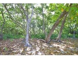  Land for sale in Jose Santos Guardiola, Bay Islands, Jose Santos Guardiola