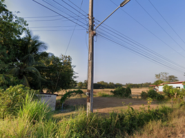  Grundstück zu verkaufen in Tha Bo, Nong Khai, Tha Bo, Tha Bo