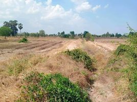  Land for sale in Hankha, Chai Nat, Den Yai, Hankha