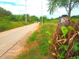  Grundstück zu verkaufen in Sikhio, Nakhon Ratchasima, Mittraphap, Sikhio