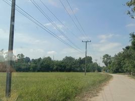  Grundstück zu verkaufen in Banphot Phisai, Nakhon Sawan, Ban Daen, Banphot Phisai