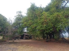  Grundstück zu verkaufen in Kaeng Khro, Chaiyaphum, Chong Sam Mo