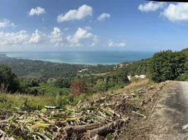  Grundstück zu verkaufen in Koh Samui, Surat Thani, Ang Thong, Koh Samui