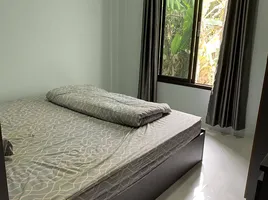 2 Schlafzimmer Haus zu verkaufen in Fang, Chiang Mai, Mae Kha, Fang