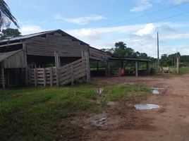  Grundstück zu verkaufen in Presidente Figueiredo, Amazonas, Presidente Figueiredo, Amazonas, Brasilien