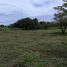  Grundstück zu verkaufen in Chame, Panama Oeste, Nueva Gorgona