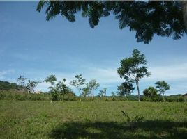  Land for sale in Mora, San Jose, Mora