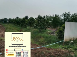  Land for sale in Mueang Khong, Khong, Mueang Khong