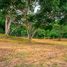  Land for sale in Rim Tai, Mae Rim, Rim Tai