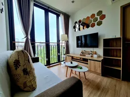 1 Bedroom Condo for rent at Kawa Haus, Phra Khanong Nuea, Watthana, Bangkok