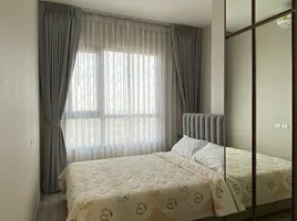 1 Bedroom Condo for rent at KnightsBridge Prime On Nut, Phra Khanong Nuea, Watthana, Bangkok, Thailand