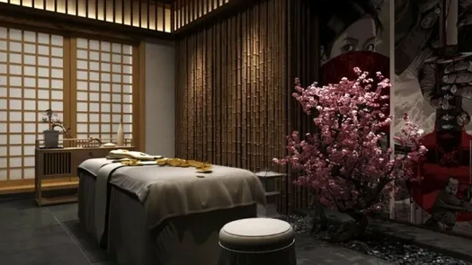 图片 1 of the Spa at Utopia Dream U2