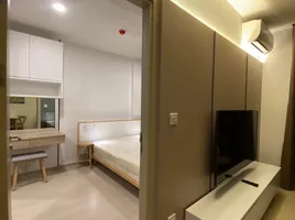 1 Bedroom Condo for sale at Noble Ambience Sukhumvit 42, Phra Khanong