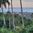  Land for sale in Bo Phut, Koh Samui, Bo Phut