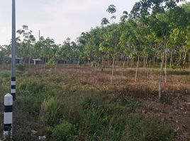  Land for sale in Rayong, Wang Wa, Klaeng, Rayong