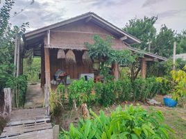  Grundstück zu verkaufen in Soi Dao, Chanthaburi, Sai Khao, Soi Dao