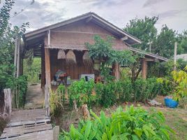  Grundstück zu verkaufen in Soi Dao, Chanthaburi, Sai Khao