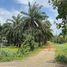  Land for sale in Bo Rai, Trat, Nong Bon, Bo Rai