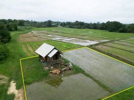  Land for sale in Nong Yaeng, San Sai, Nong Yaeng