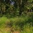  Land for sale in Tha Khum Ngoen, Mae Tha, Tha Khum Ngoen