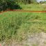  Land for sale in Chon Buri, Ban Chang, Phanat Nikhom, Chon Buri