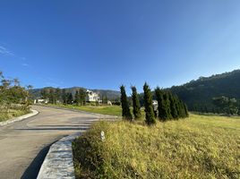  Grundstück zu verkaufen in Khao Kho, Phetchabun, Khaem Son