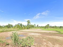  Grundstück zu verkaufen in Ban Kruat, Buri Ram, Nong Mai Ngam, Ban Kruat