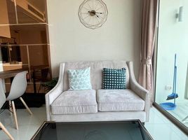 1 Schlafzimmer Appartement zu verkaufen im The Riviera Wongamat, Na Kluea, Pattaya