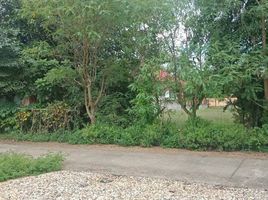  Grundstück zu verkaufen in Mae Rim, Chiang Mai, Khi Lek, Mae Rim