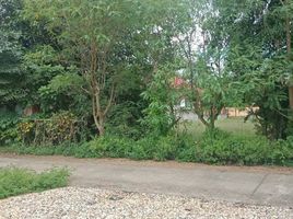  Land for sale in Khi Lek, Mae Rim, Khi Lek