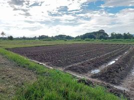 ขายที่ดิน ใน ดอยสะเก็ด เชียงใหม่, ลวงเหนือ