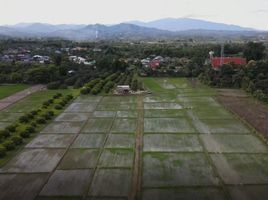  Land for sale in Chiang Mai, Ban Mae, San Pa Tong, Chiang Mai