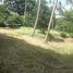 ขายที่ดิน ใน ตลิ่งงาม, สุราษฎร์ธานี, ตลิ่งงาม