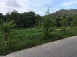  Grundstück zu verkaufen in Koh Samui, Surat Thani, Bo Phut, Koh Samui
