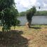  Land for sale in Khuan Lang, Songkhla, Khuan Lang, Hat Yai