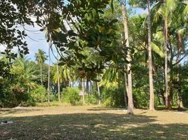  Land for sale in Samui Immigration Office, Ang Thong, Ang Thong