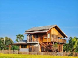 3 Schlafzimmer Haus zu vermieten in Sop Poeng, Mae Taeng, Sop Poeng