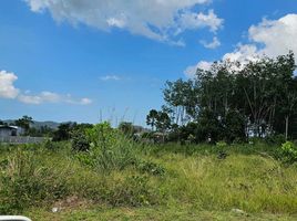  Grundstück zu verkaufen in Thalang, Phuket, Choeng Thale