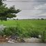  Land for sale in Pathum Thani, Bueng Kham Phroi, Lam Luk Ka, Pathum Thani